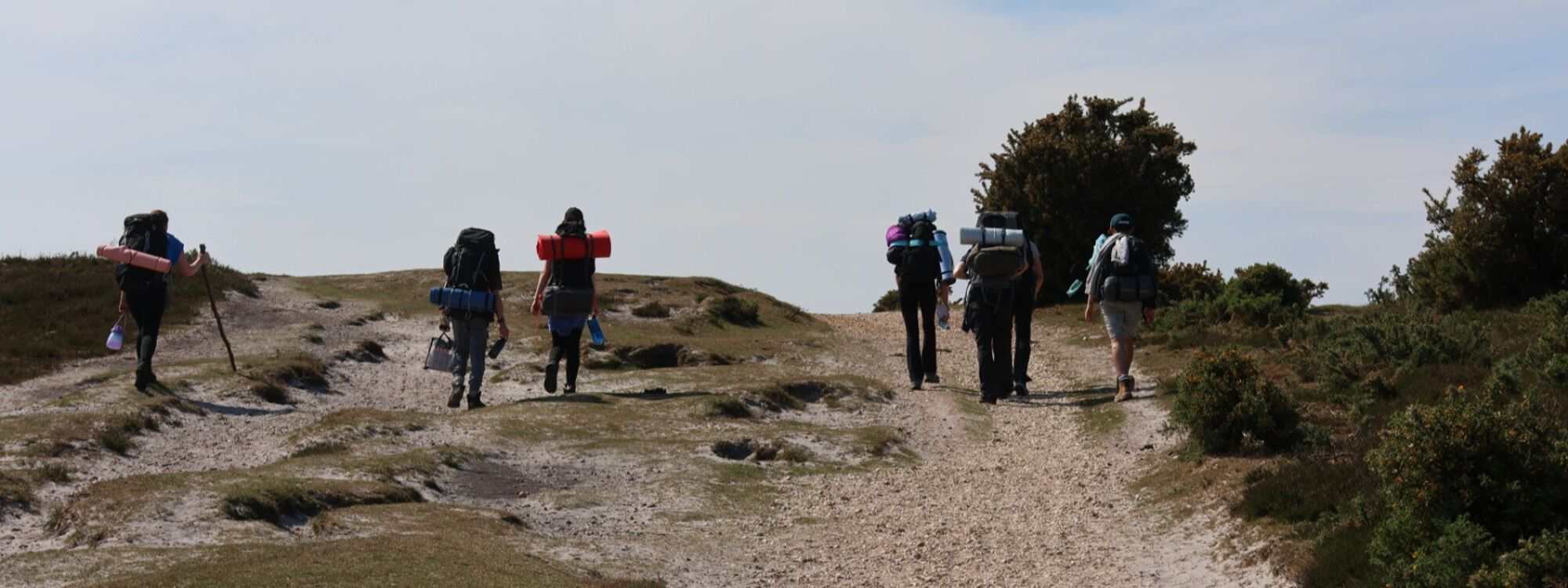 Header Image 1